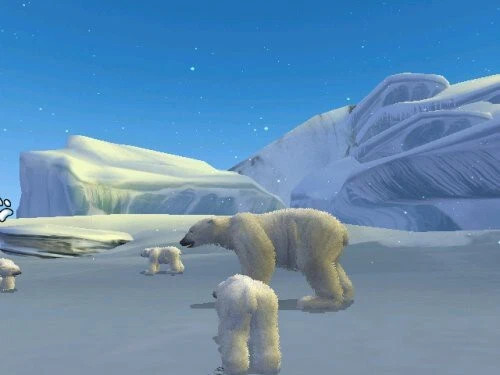 Eisbären in Schneelandschaft.
