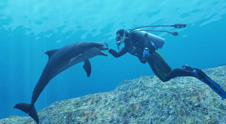 Taucher unter Wasser mit einem Delfin.